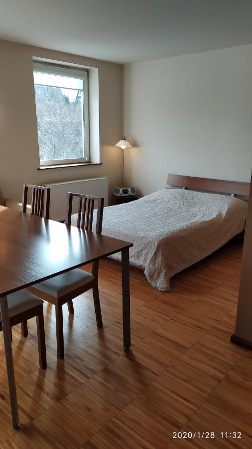Zawoja1560 Apartamenty Przy Aptece المظهر الخارجي الصورة